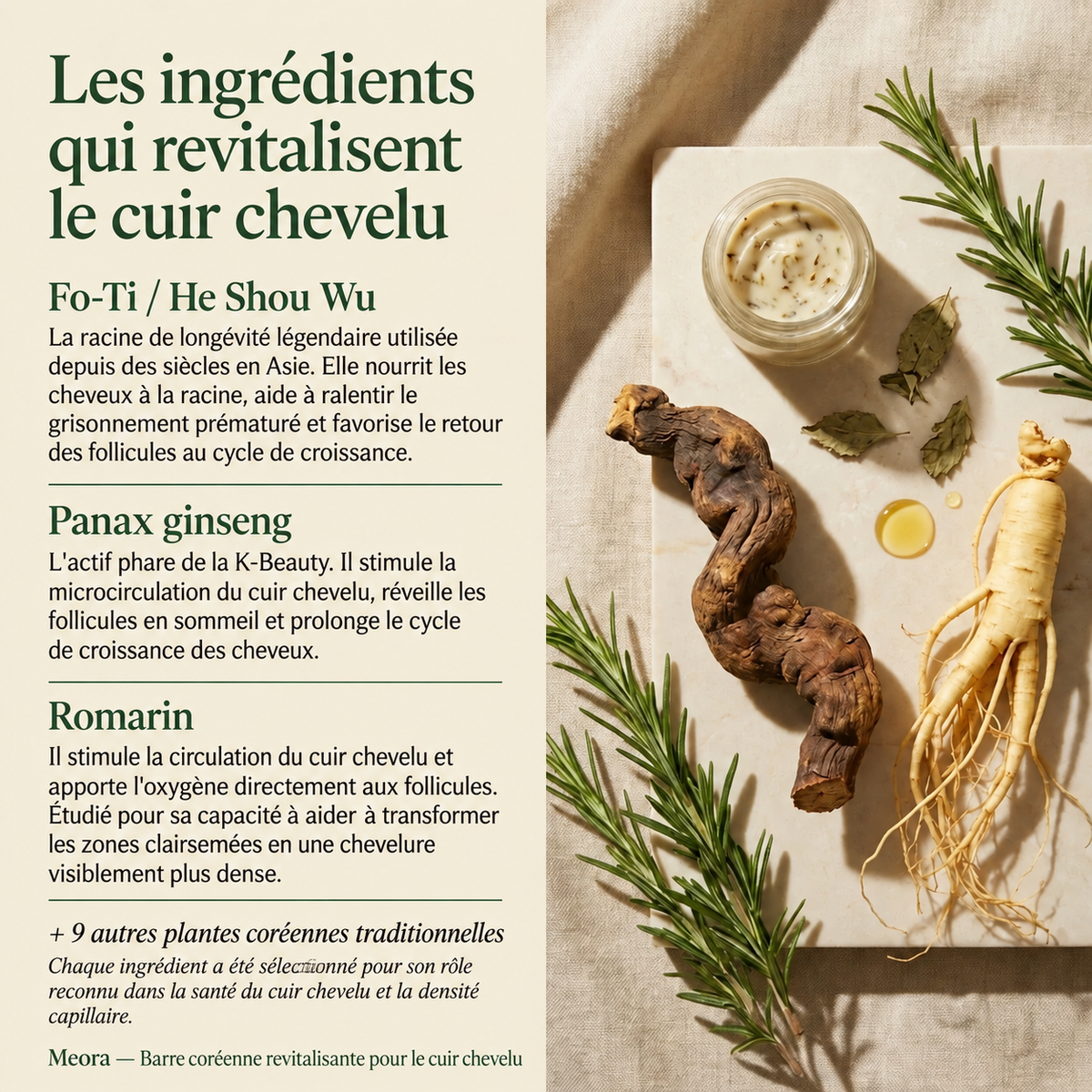 Shampoing Renaissance Cuir Chevelu Meora