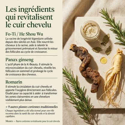 Shampoing Renaissance Cuir Chevelu Meora